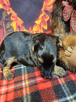 click on me to go to my page