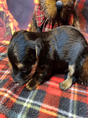 click on me to go to my page