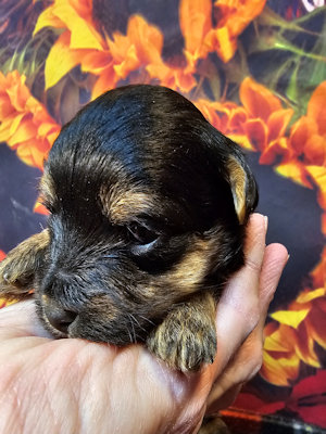 click on me to go to my page