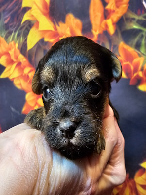 click on me to go to my page