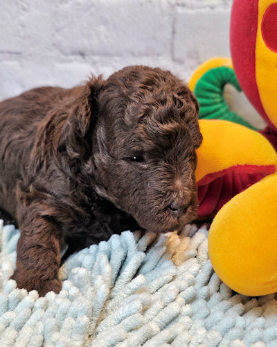 click on me to go to my page