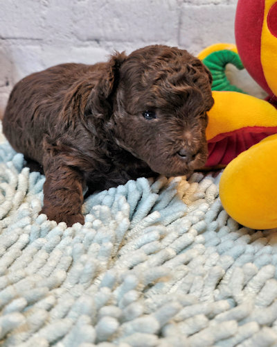 click on me to go to my page