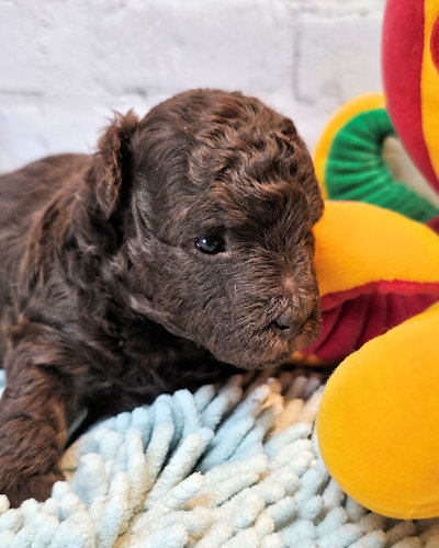 click on me to go to my page