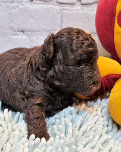 click on me to go to my page