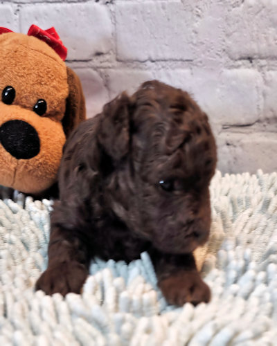 click on me to go to my page