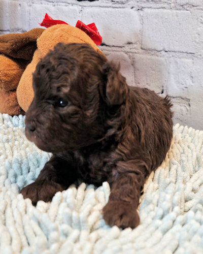 click on me to go to my page