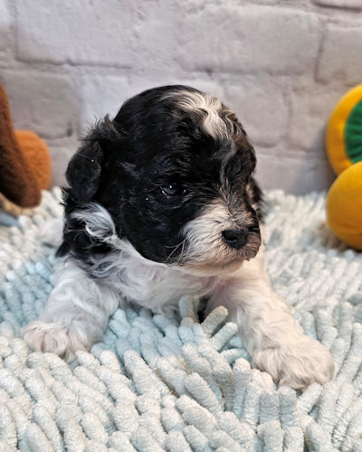 click on me to go to my page