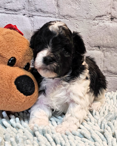 click on me to go to my page