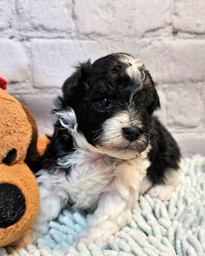 click on me to go to my page