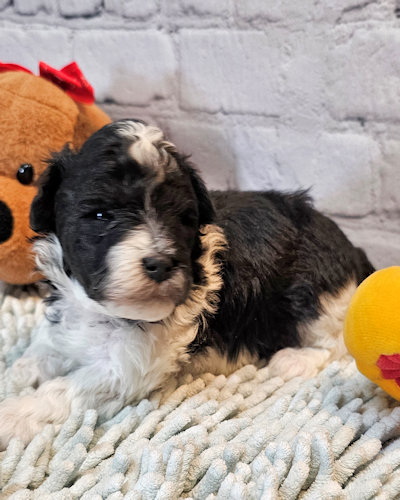 click on me to go to my page