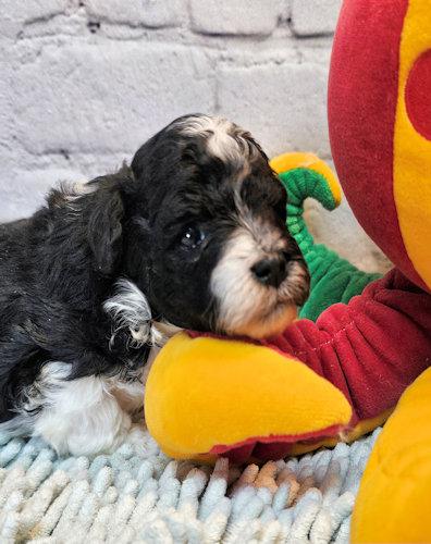 click on me to go to my page