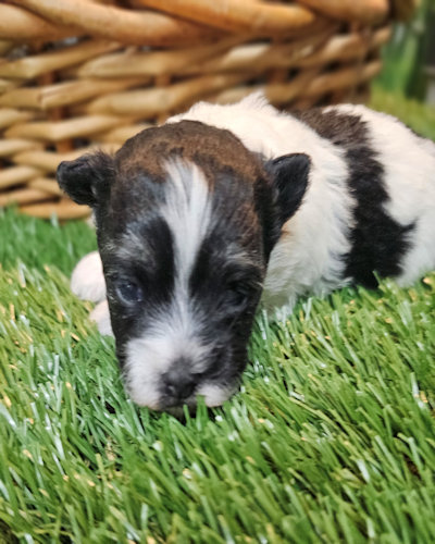 click on me to go to my page