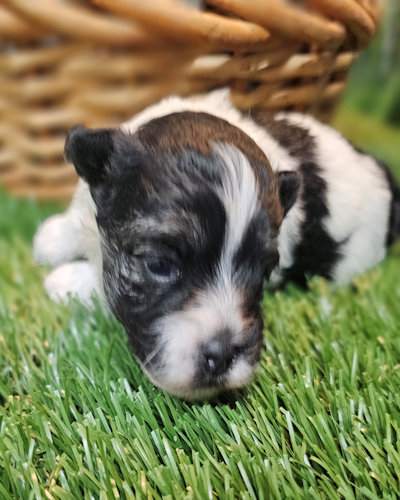 click on me to go to my page