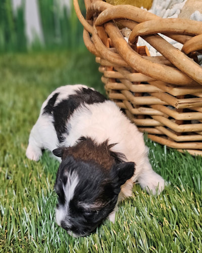 click on me to go to my page