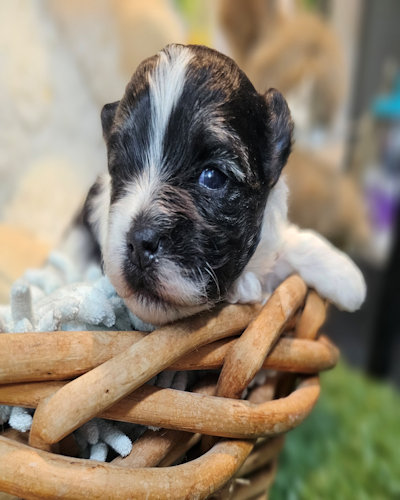 click on me to go to my page