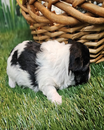 click on me to go to my page