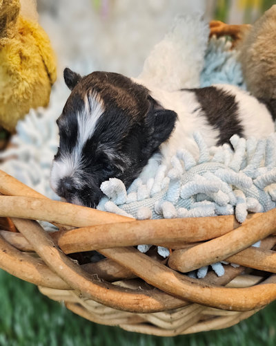 click on me to go to my page