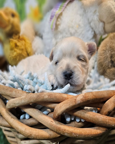 click on me to go to my page