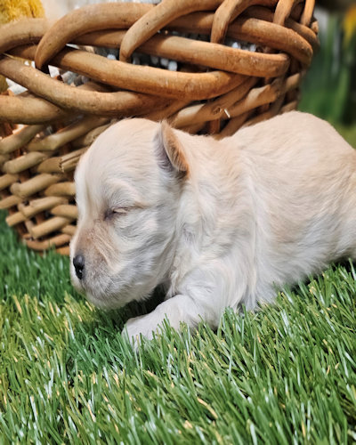 click on me to go to my page