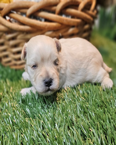 click on me to go to my page