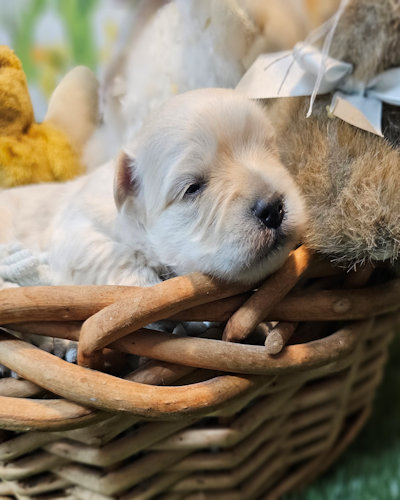 click on me to go to my page