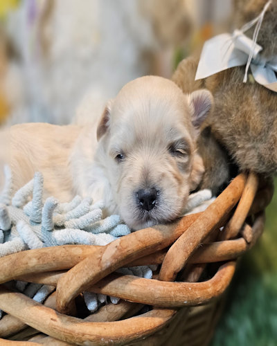 click on me to go to my page