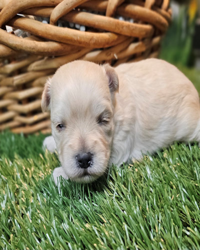 click on me to go to my page